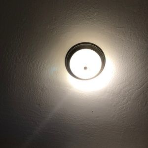 Meet your Posher, Oscar